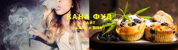 мет Тосно