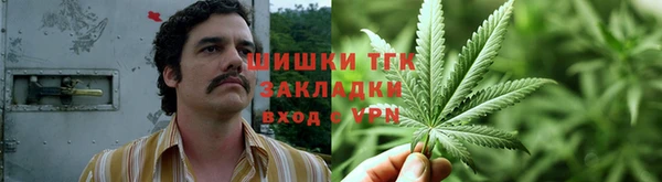 ГАЛЛЮЦИНОГЕННЫЕ ГРИБЫ Весьегонск
