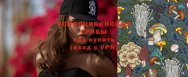 ГАЛЛЮЦИНОГЕННЫЕ ГРИБЫ Весьегонск