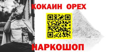 дурь Кингисепп