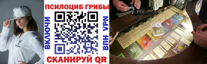 где купить наркоту  Ефремов  omg онион  Галлюциногенные грибы MAGIC MUSHROOMS 