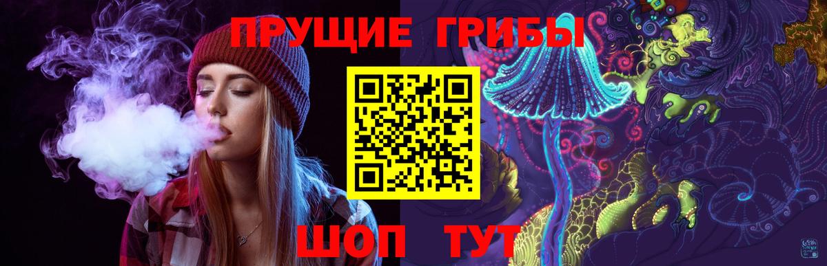 Псилоцибиновые грибы мицелий  Вход с VPN  Ефремов 